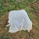 형은농장 이미지