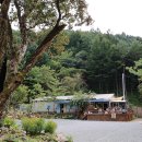 마리소리골악기박물관 | [강원도 홍천군] 마리소리골악기박물관