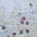 달성정비 | 대구 달성공원 동물원 나들이 - 사슴부터 얼룩말까지, 도심 속 힐링 산책 후기