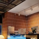브이아이브이오(VIVO)