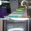 굿모닝 농장 이미지