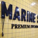 마린슐레 이미지