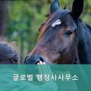 글로벌 행정심판 사무소 이미지