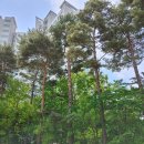 넘은들근린공원 이미지