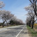 삽교주유소 - 예산군 삽교로 276 | 삽교주유소