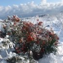 산대월리 이미지