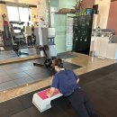 바디복싱 이미지