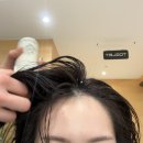 최정호 | 명동 미용실 추천 이철헤어커커 명동1호점 모발클리닉 최정호 디자이너님 솔직 후기