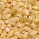 현미 효능 칼로리 안좋은점 현미밥 현미차 이미지