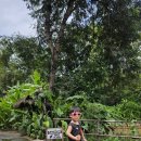 푸푸(POOPOO) 이미지