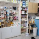 똥강아지 애견샵 이미지