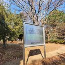 외국인전문 행정사사무소 이미지