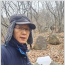 금태산 약초