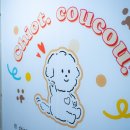 시오꾸꾸 | 6개월 아기와 함께한 애견스냅 (with 수원 시오꾸꾸 강아지유치원)