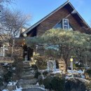 가평잣두부 이미지