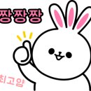 엔알아이 이미지