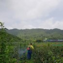 백제골1 이미지