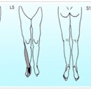 알리바바한의원 이미지