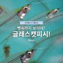 둘리수산 이미지