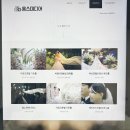 1인미디어 영상제작 교육운영 | 무료 본식 DVD 공군호텔 스냅영상 움스미디어 계약 후기