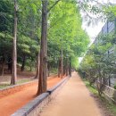 서호하단병원 이미지