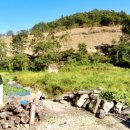 죽청농장 이미지