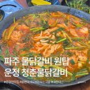 250-운정3-250 | 파주 물닭갈비 원탑 ｜ 국물 맛이 끝내주는 운정 청춘물닭갈비 내돈내산 후기