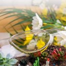 미니정원(테라리움) 이미지