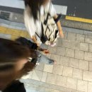 에젤공방 | 구정모(구월에는정신차리는모임)