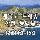 [클릭하세요] 따뜻한 남쪽 대매물도 섬트래킹 + 사천 동백꽃 + 거제도 매미성 이미지