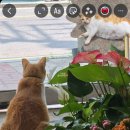 창조꽃집 이미지