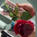 에스제이 이미지