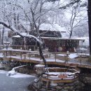 민들레울 이미지