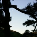 축령산휴림 이미지