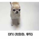 서당개 네이버블로그