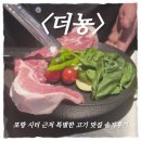 특별한목동고기집 | 포항 시외버스터미널 맛집｜돈마카세 같은 특별한 고기집 《더뇽》 내돈내산 솔직후기