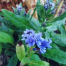 오늘은봄날 이미지