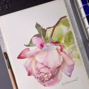 힐링 수채화 이미지