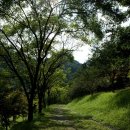 산빛어울림 제87차 금강소나무숲길(3구간) 산행안내 이미지