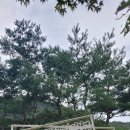 꽃.닢
