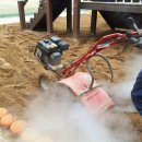 학림초교(병설) 이미지