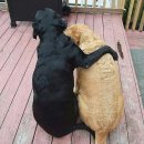 용인연세병원 | 용인 수지 분당 근처 난임병원 연세아이봄 후기(인공수정부터 시험관 4차까지)