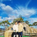 양평 남한강휴게소 옐로우스탑 공원 &amp; 글램핑존ㅣ애견동반휴게소 후기