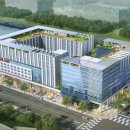 골든버터플라이 이미지