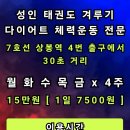 용두장안태권도