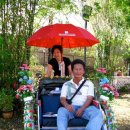 PENANG IN A NUTSHELL ... OR A TRISHAW, AS THE CASE MAY BE 이미지