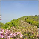 축령산 코지인 이미지