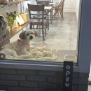 부천역디저트 맛집 [코지바닐라] 후기