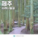 바다숲 풀내음 이미지