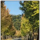 연천 미라클타운 이미지